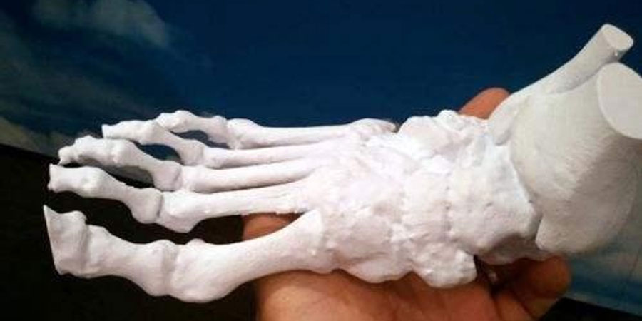 3D басып шығару хирургиясы көмекші нұсқаулық