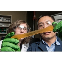 Navorsers ontwikkel nuwe metodes vir hernubare poliuretaan