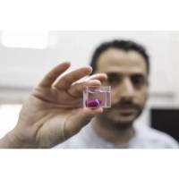 Murtaudu pullonkaulasta! Amerikkalaiset tiedemiehet 3D-tulostavat ihmisen sydänkudosta